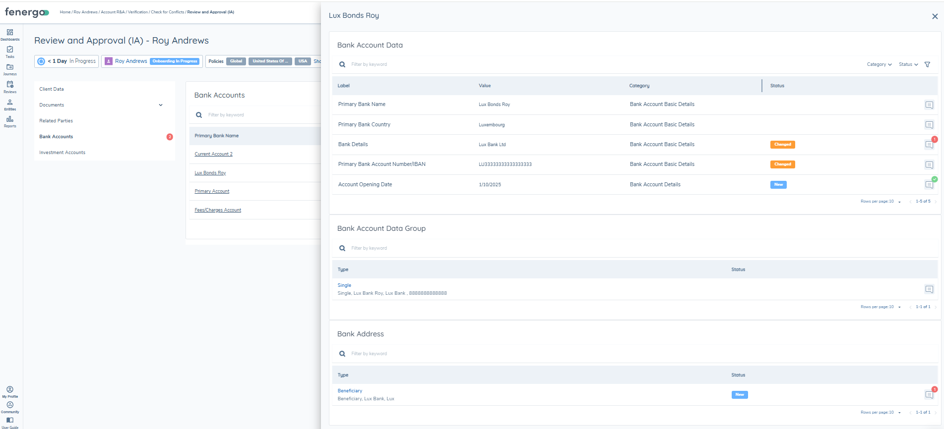Bank Accounts Panel Details View